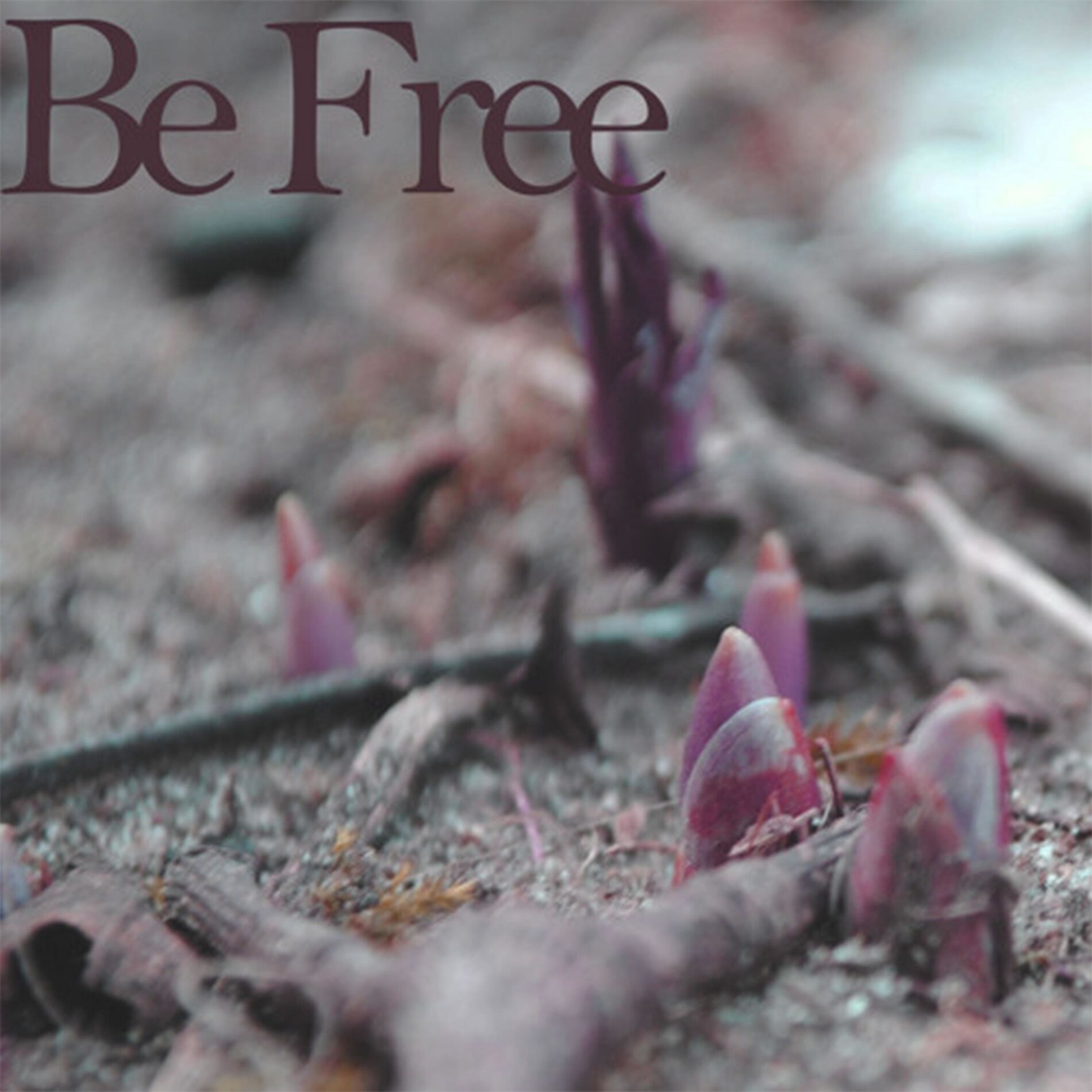 Album cover of Be Free