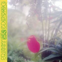 Cover of Sweet Company