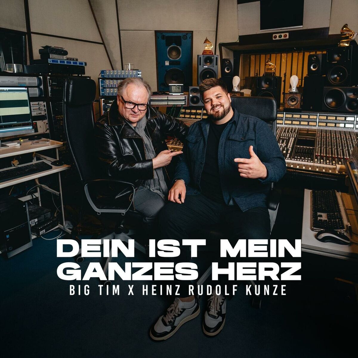Album cover of Dein ist mein ganzes Herz