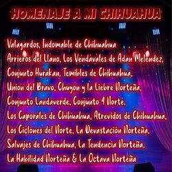 Cover of Homenaje a Mi Chihuahua