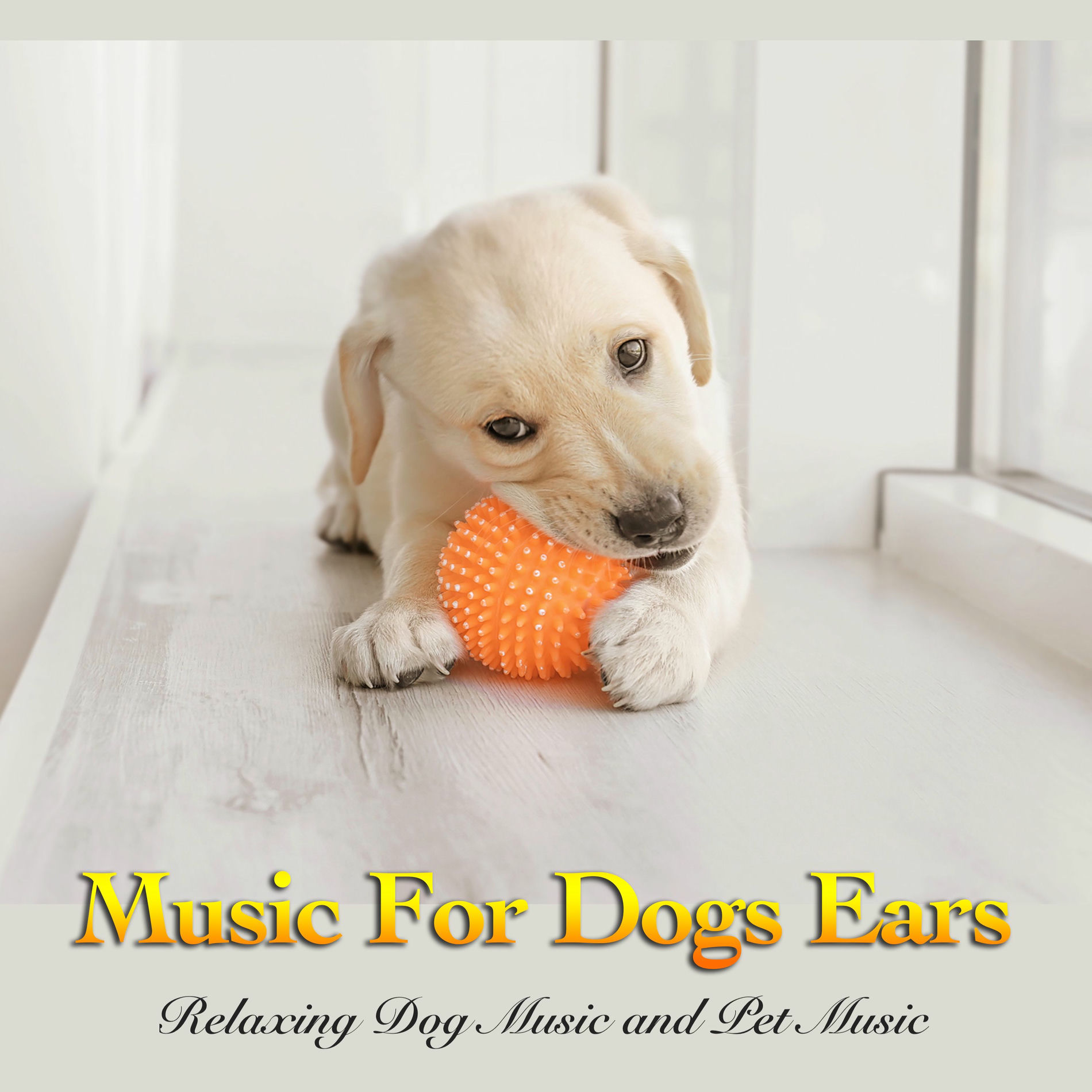 Album cover of Soothing Dog Music