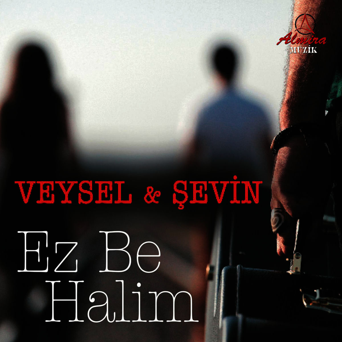 Album cover of Dost Bulamadım