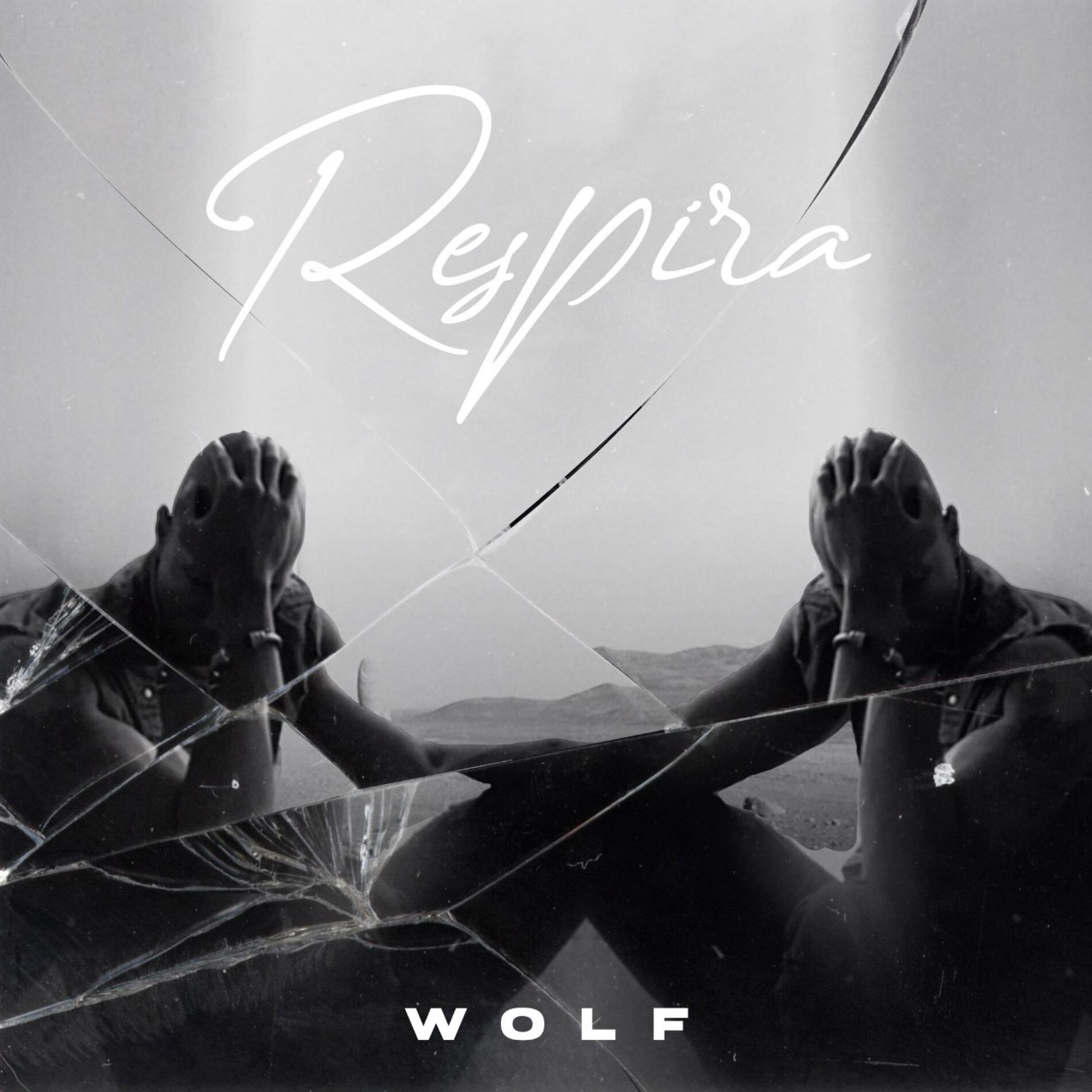 Album cover of Respira