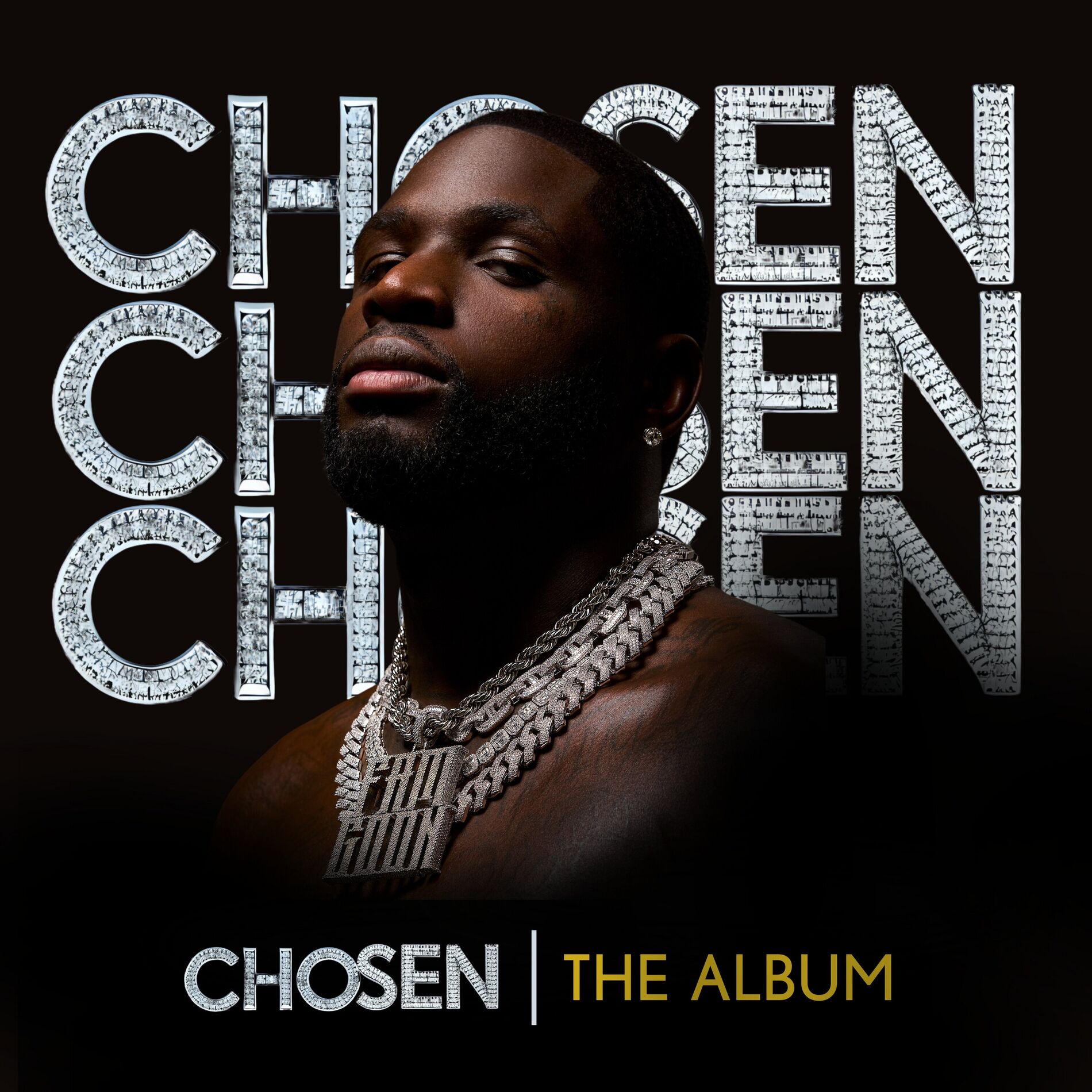 Album cover of Chosen