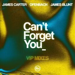 Cover of Can’t Forget You (feat. James Blunt) (VIP Mixes)