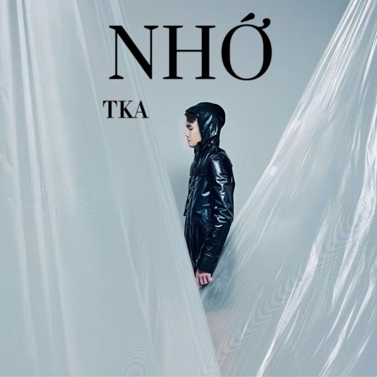 Album cover of Nhớ