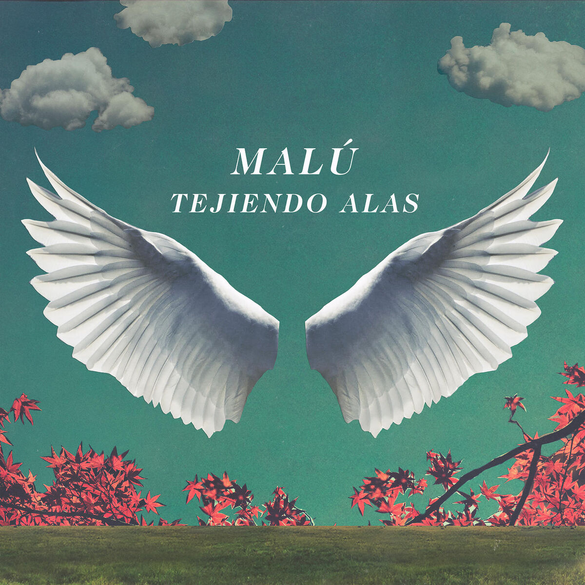 Album cover of Tejiendo Alas