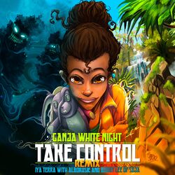 Cover of Take Control (feat. Bobby Lee of SOJA) (Remix)