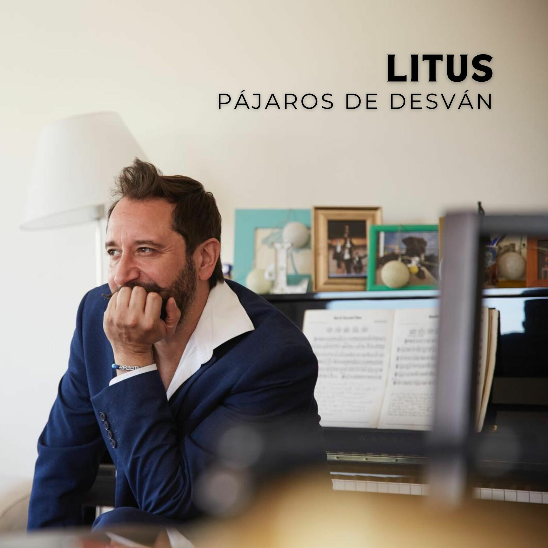 Album cover of Pájaros de Desván