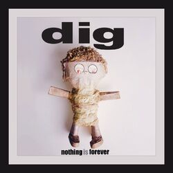 Cover of Nothing is Forever