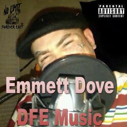Cover of DFE Music