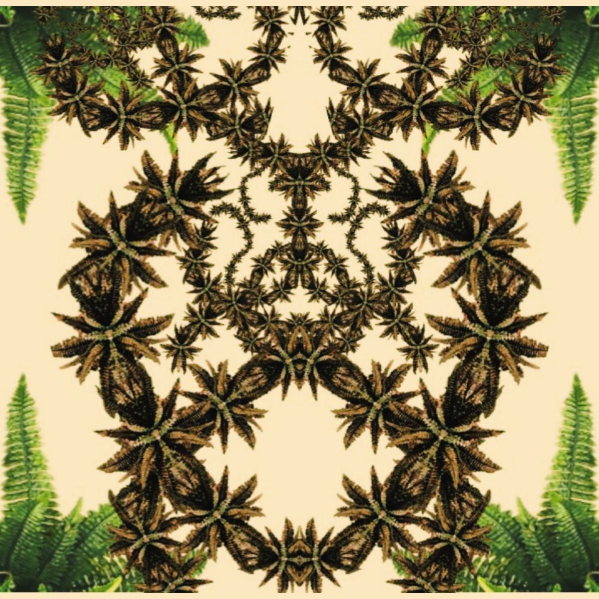 Album cover of Aruanda (Duc In Altum Remix)