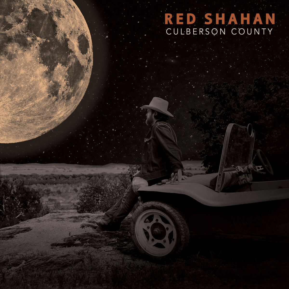 Album cover of Revolution