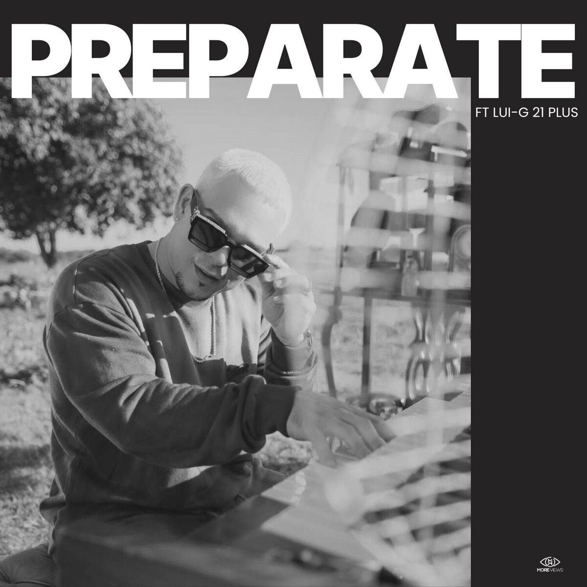 Album cover of Preparate