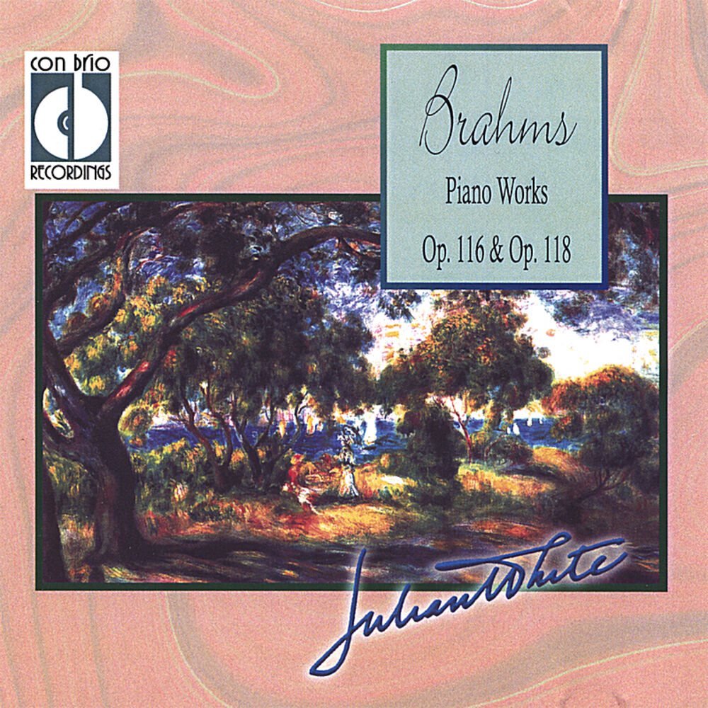 Picture of Brahms Piano Works