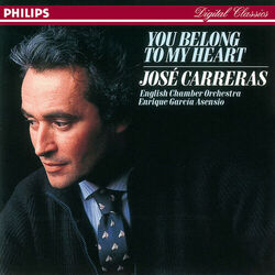 Cover of You Belong To My Heart
