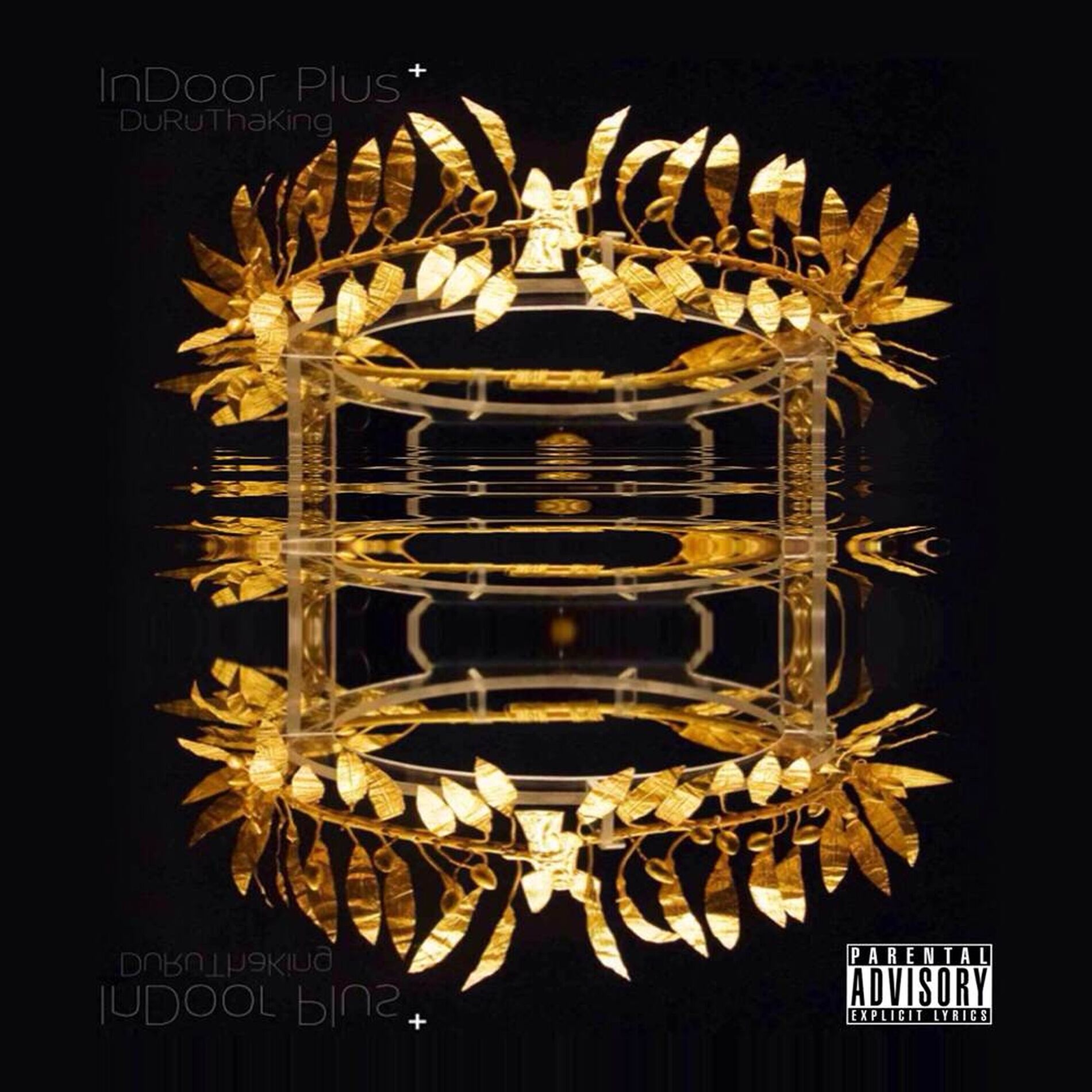 Album cover of InDoor Plus