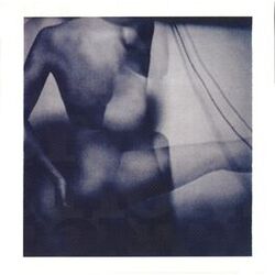 Cover of Skin Deep