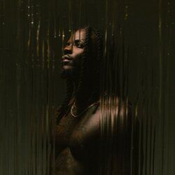 Cover of Coup de vent