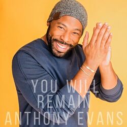 Cover of You Will Remain