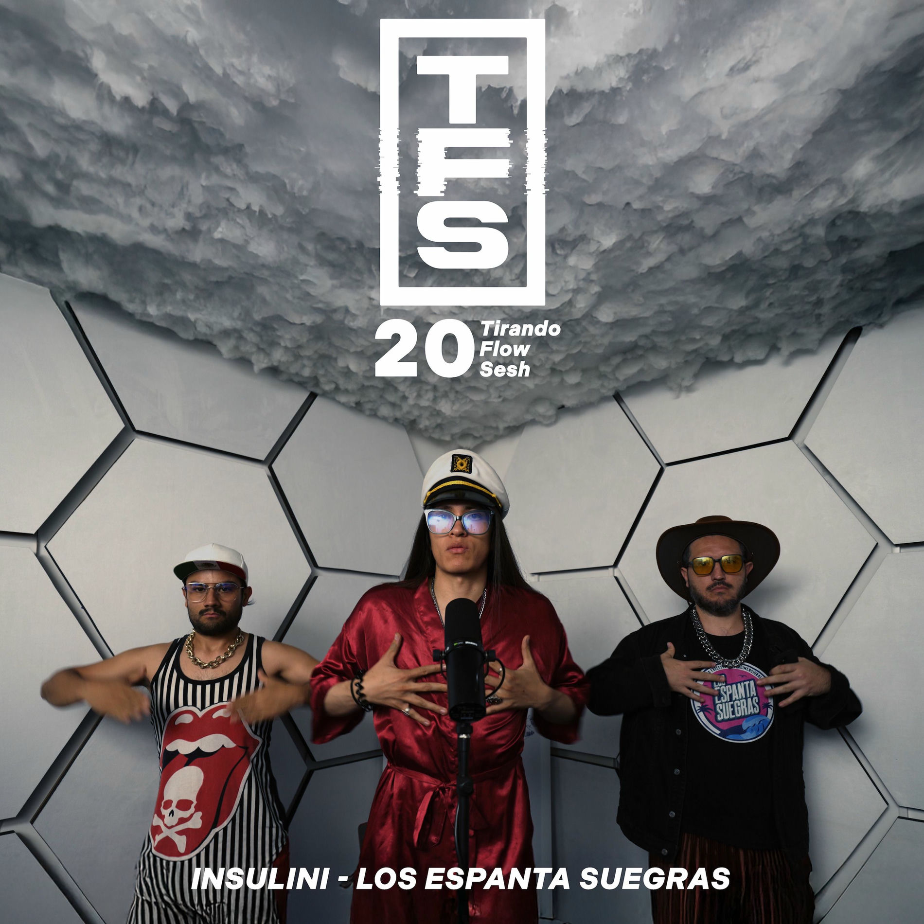 Album cover of Tirando Flow Sesh #20 (Anatomía)