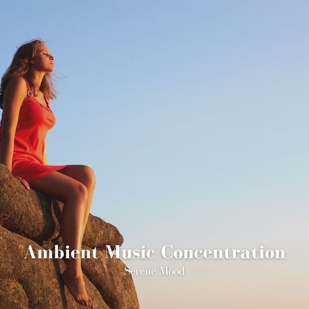 Picture of Ambient Music Concentration: Serene Mood