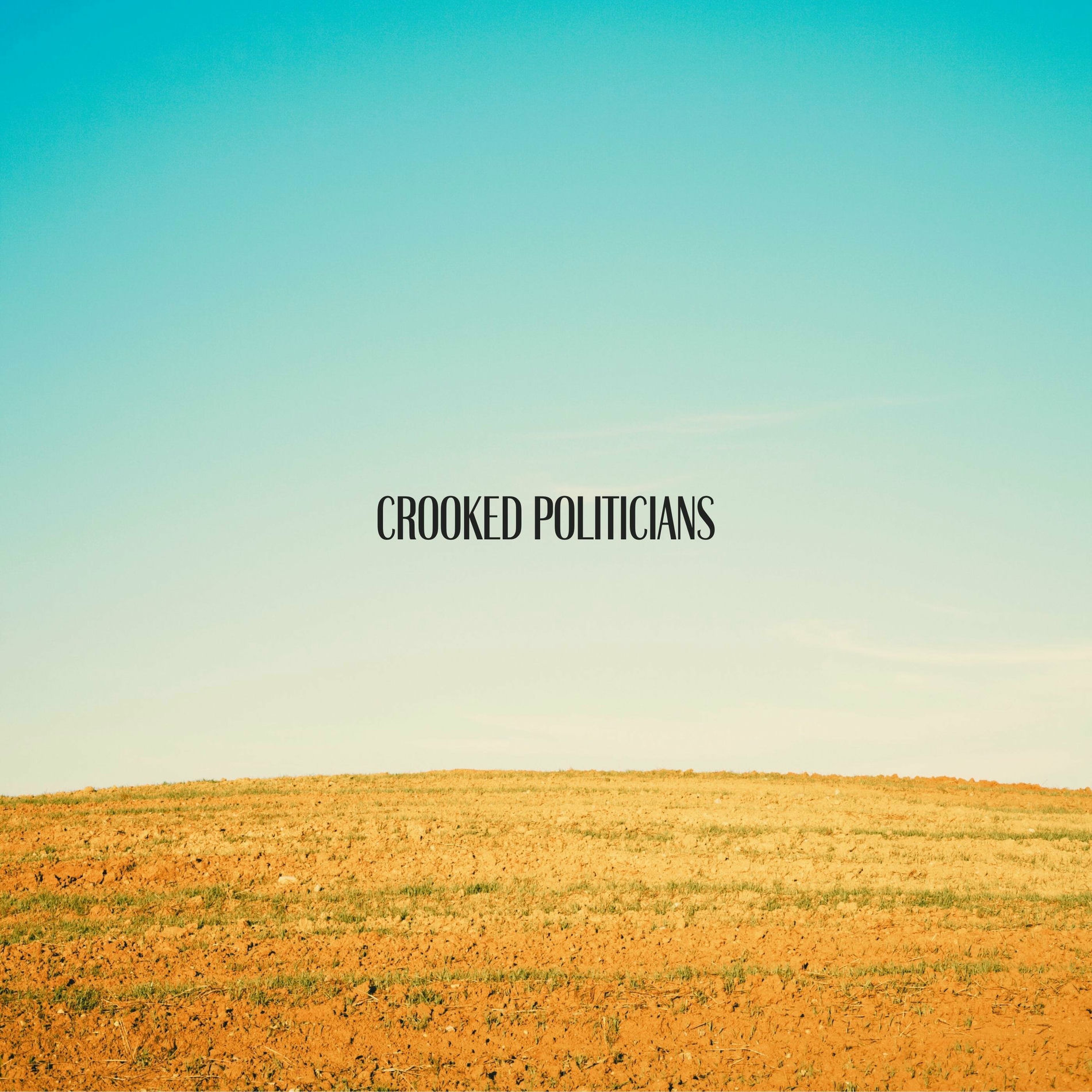 Album cover of Crooked Politicians
