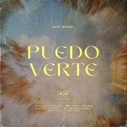 Cover of Puedo Verte