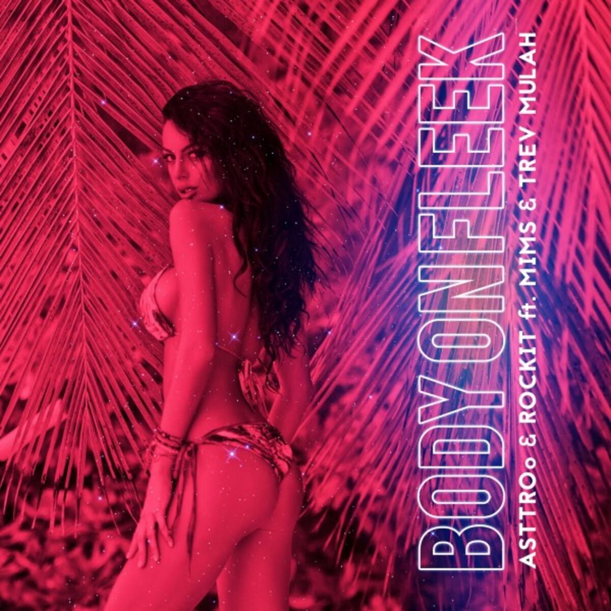 Album cover of Body on Fleek