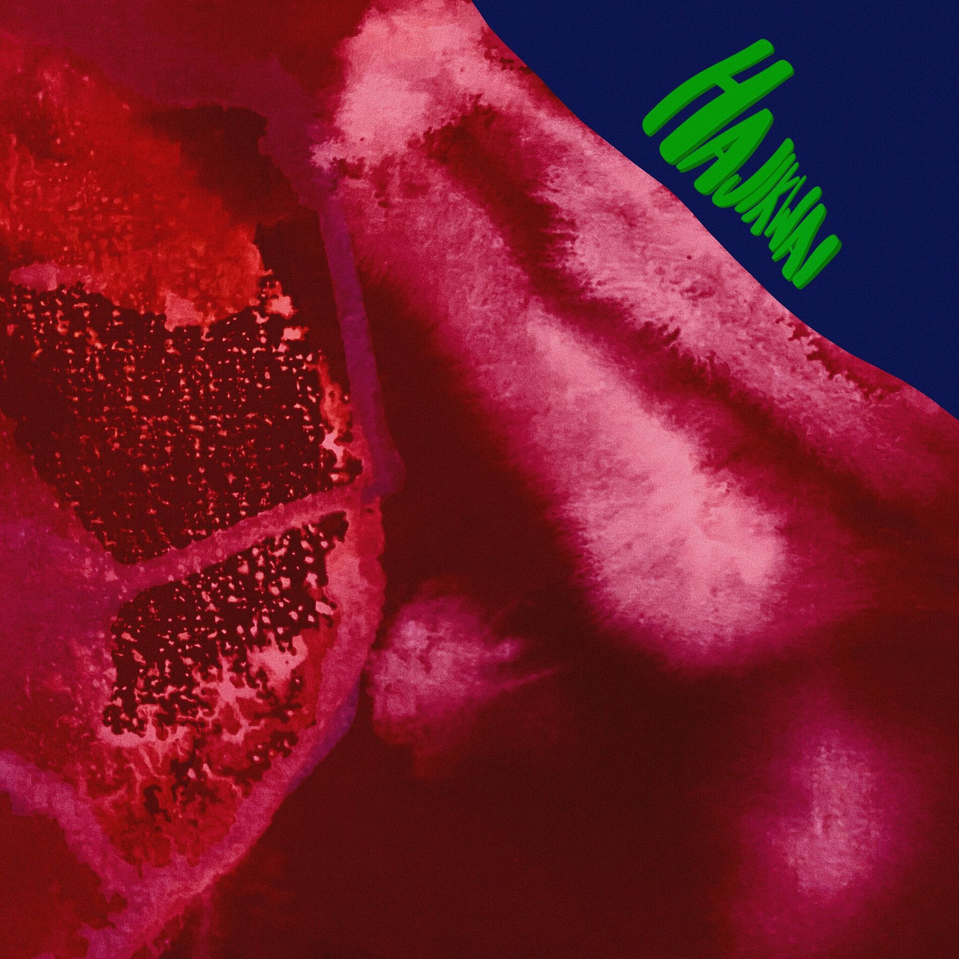Album cover of Hajikwai