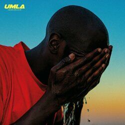 Cover of UNE MAIN LAVE L'AUTRE