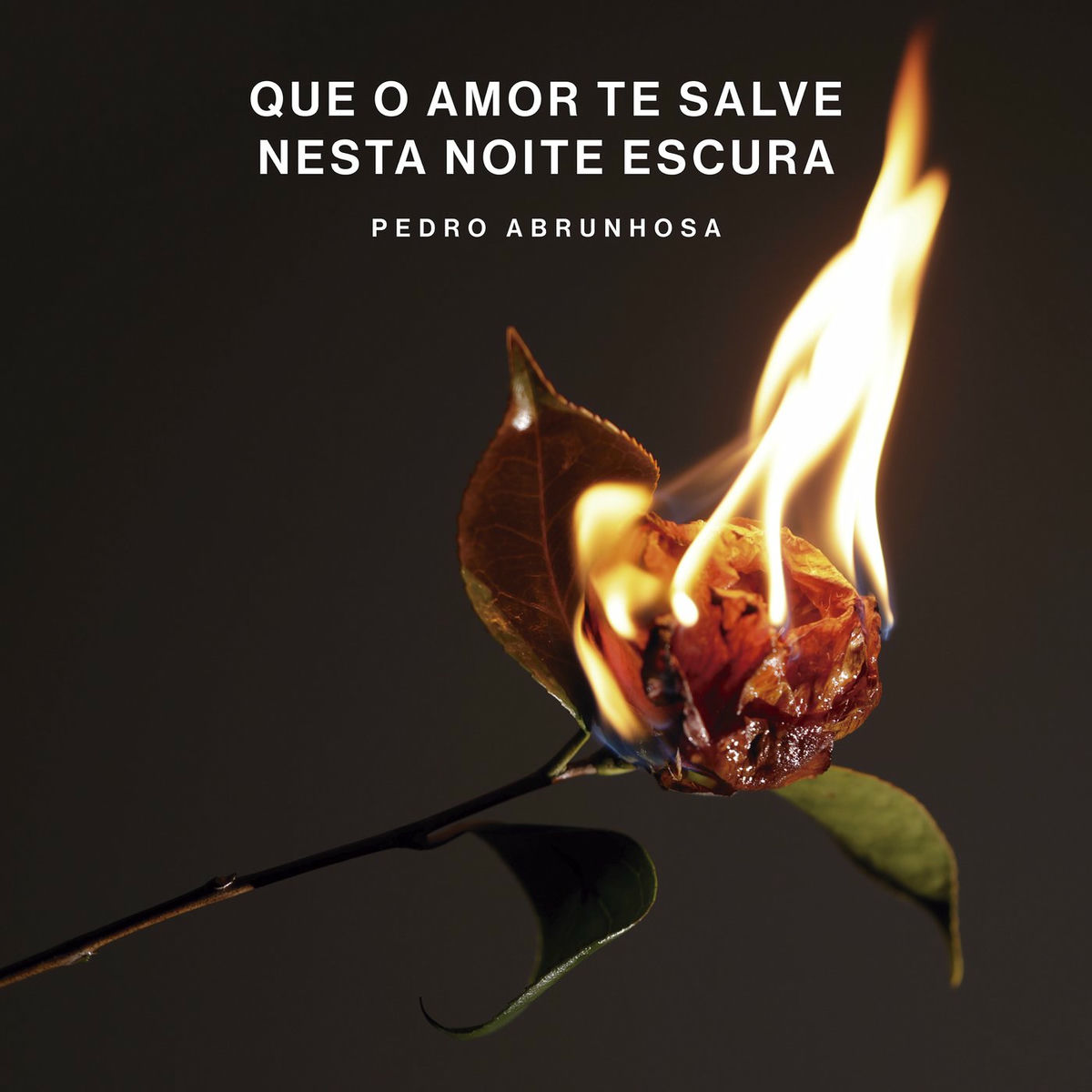 Album cover of Que O Amor Te Salve Nesta Noite Escura