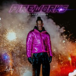 Cover of Fireworks