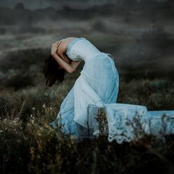 Cover of Beauty in the Dark
