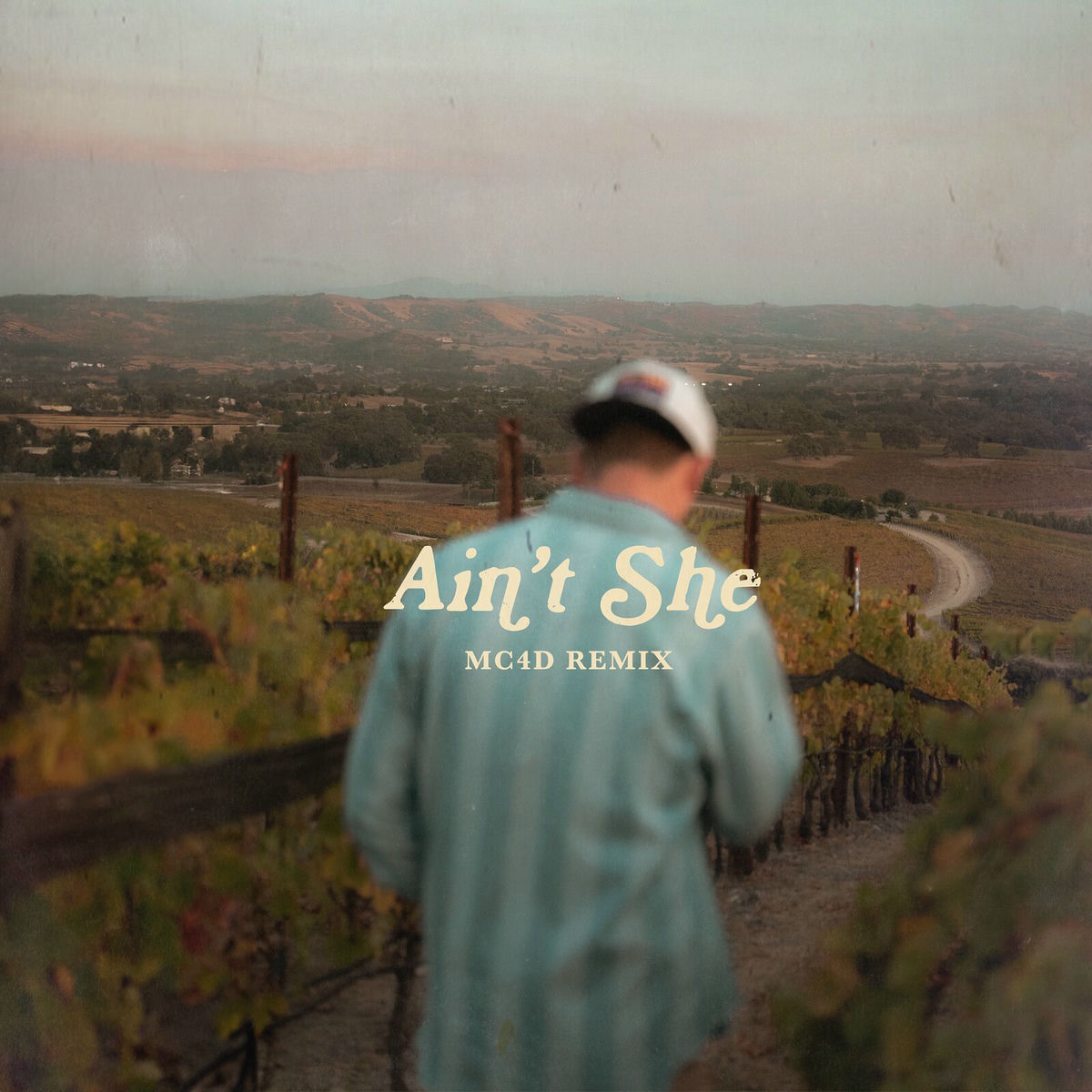 Album cover of Ain't She (MC4D Remix)