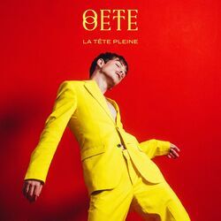 Cover of La tête pleine