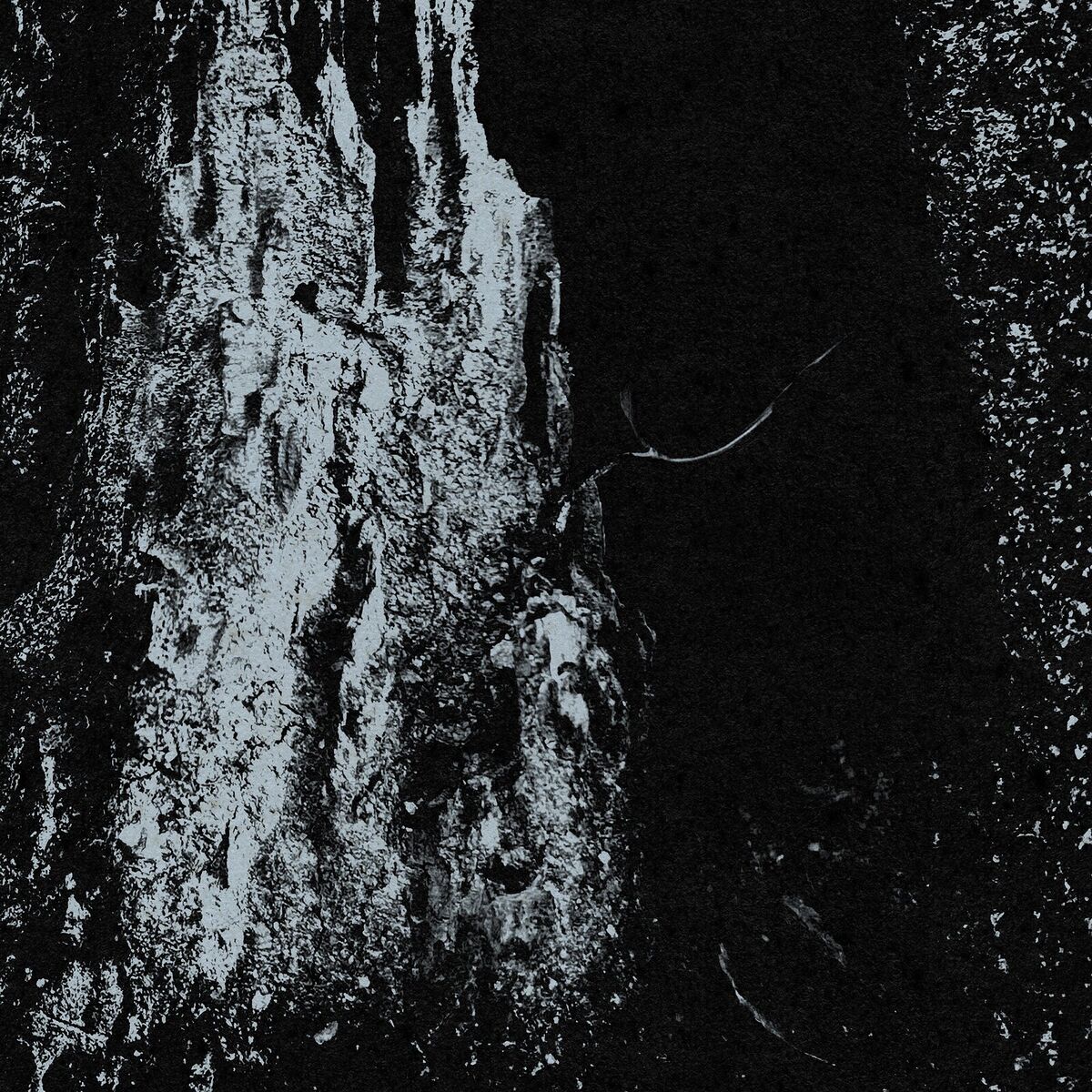 Album cover of Over and Over