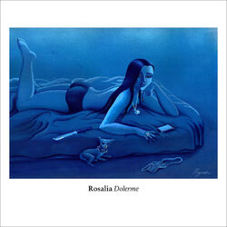 Cover of Dolerme