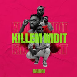 Cover of Killem Widit