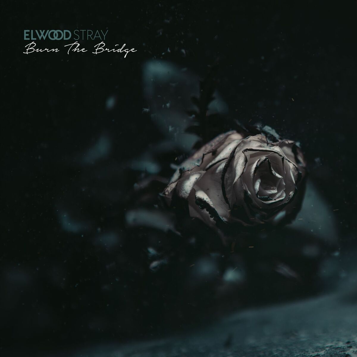 Album cover of Burn the Bridge