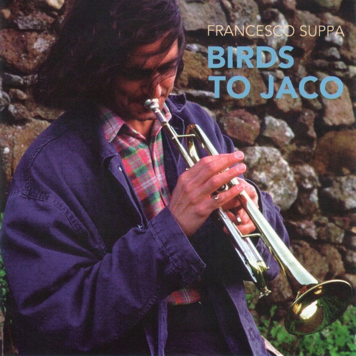 Album cover of Birds to Jaco