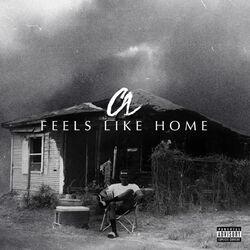 Cover of Feels Like Home