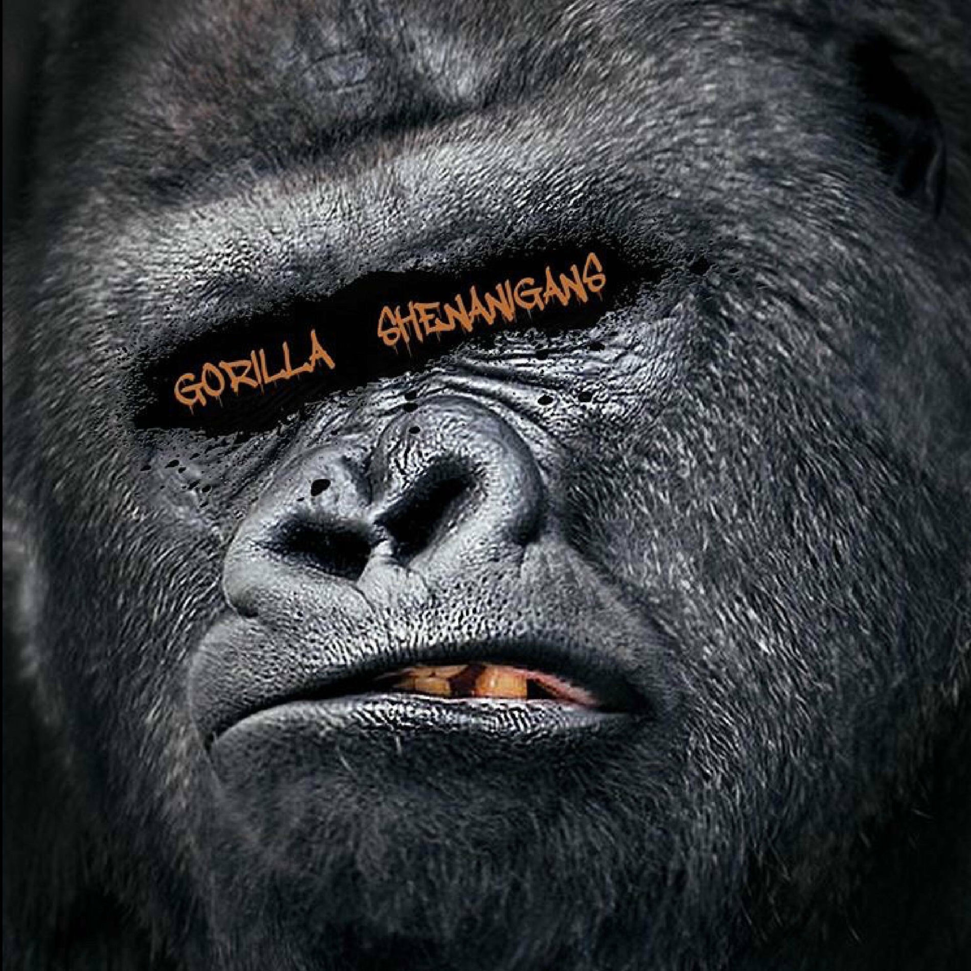 Sam P. - Gorilla Shenanigans | Deezer