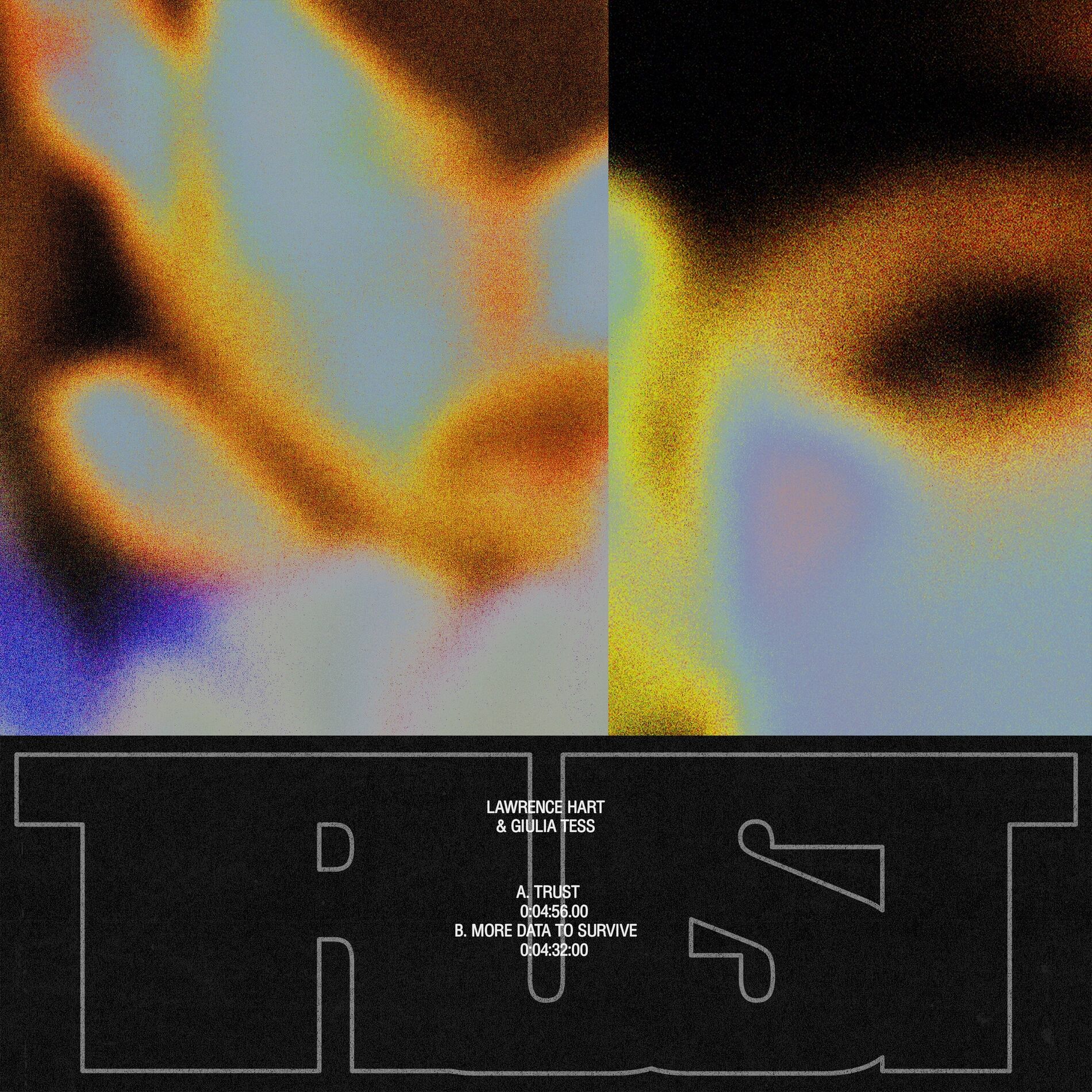 Album cover of More Data To Survive