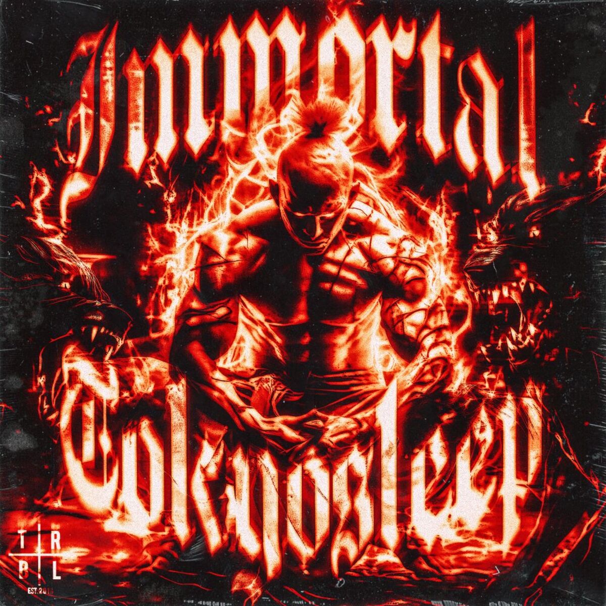 Album cover of IMMORTAL