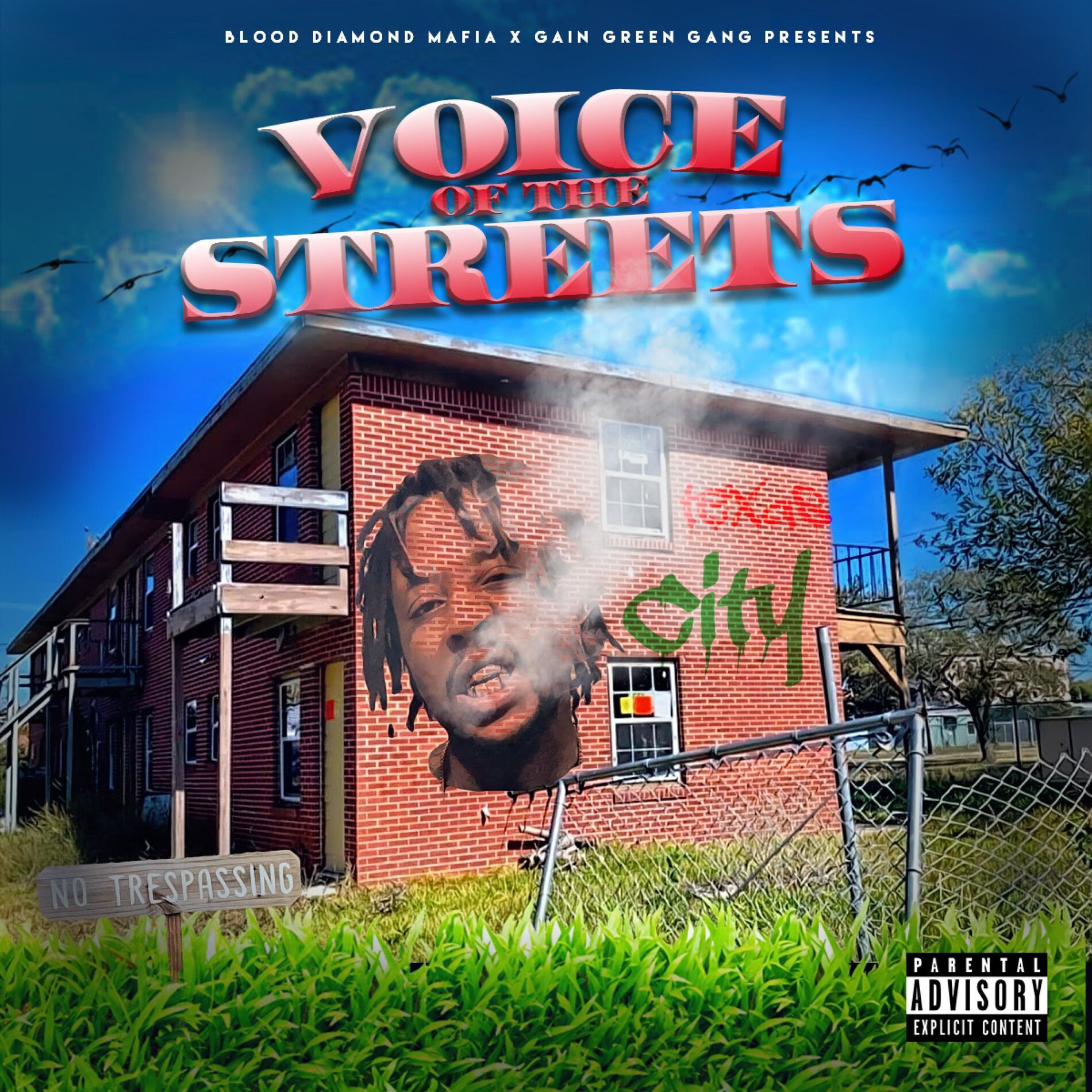 Album cover of Voice of the Streets
