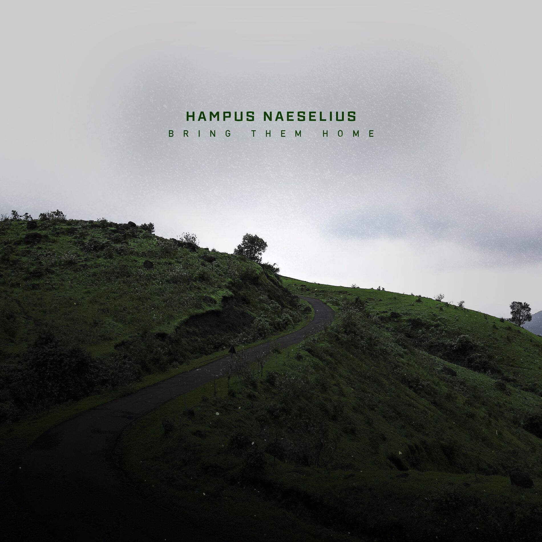 Album cover of Bring Them Home