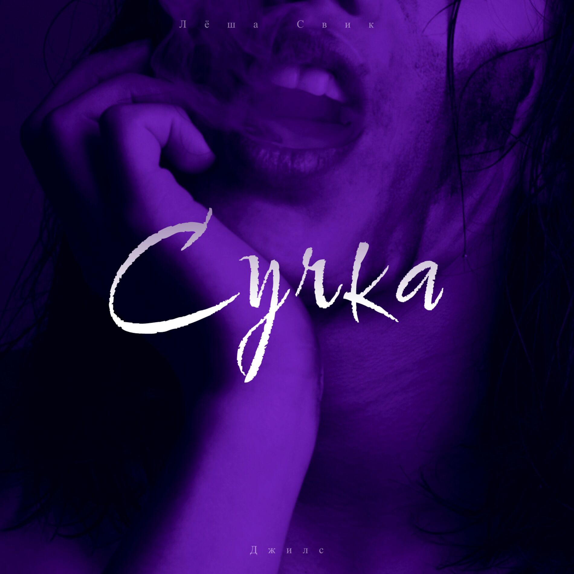 Album cover of Сучка