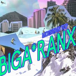 Cover of Mountain Top