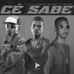 Cover of CÊ SABE